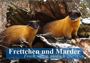 Frettchen und Marder. Frech, witzig, niedlich (Wandkalender 2019 DIN A2 quer) von Stanzer,  Elisabeth