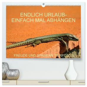Freude und Spaß an Tierfotos (hochwertiger Premium Wandkalender 2024 DIN A2 quer), Kunstdruck in Hochglanz von Jäger,  Anette