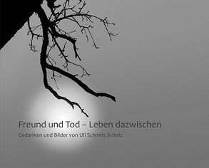 Freund und Tod – Leben dazwischen von Schmitt-Scholz,  Uli