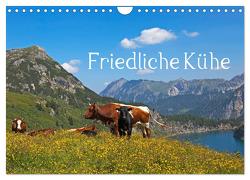 Friedliche Kühe (Wandkalender 2024 DIN A4 quer), CALVENDO Monatskalender von Kramer,  Christa
