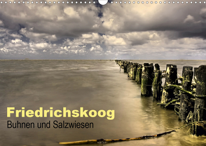 Friedrichskoog Buhnen und Salzwiesen (Wandkalender 2021 DIN A3 quer) von Petra Voß,  ppicture-