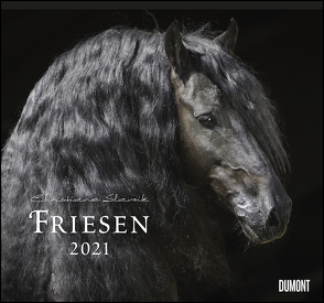 Friesen 2021 – Edle Pferde – Fotografiert von Christiane Slawik – DUMONT-Wandkalender – Format 38,0 x 35,5 cm von Slawik,  Christiane