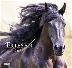Friesen 2023 – Edle Pferde – Fotografiert von Christiane Slawik – DUMONT-Wandkalender – Format 38,0 x 35,5 cm von Slawik,  Christiane