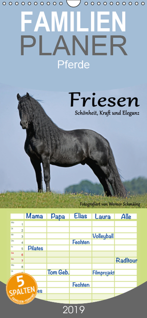 Friesen – Schönheit, Kraft und Eleganz – Familienplaner hoch (Wandkalender 2019 , 21 cm x 45 cm, hoch) von Schmäing,  Werner