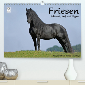 Friesen – Schönheit, Kraft und Eleganz (Premium, hochwertiger DIN A2 Wandkalender 2021, Kunstdruck in Hochglanz) von Schmäing,  Werner