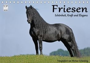 Friesen – Schönheit, Kraft und Eleganz (Tischkalender 2018 DIN A5 quer) von Schmäing,  Werner