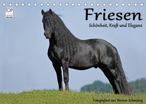 Friesen – Schönheit, Kraft und Eleganz (Tischkalender 2023 DIN A5 quer) von Schmäing,  Werner