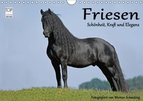 Friesen – Schönheit, Kraft und Eleganz (Wandkalender 2018 DIN A4 quer) von Schmäing,  Werner