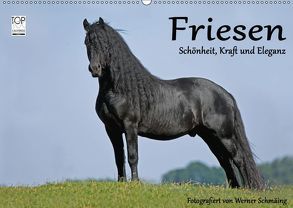 Friesen – Schönheit, Kraft und Eleganz (Wandkalender 2019 DIN A2 quer) von Schmäing,  Werner