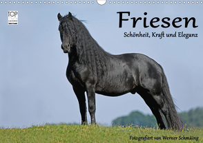 Friesen – Schönheit, Kraft und Eleganz (Wandkalender 2021 DIN A3 quer) von Schmäing,  Werner