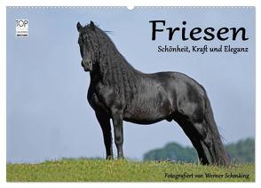 Friesen – Schönheit, Kraft und Eleganz (Wandkalender 2024 DIN A2 quer), CALVENDO Monatskalender von Schmäing,  Werner