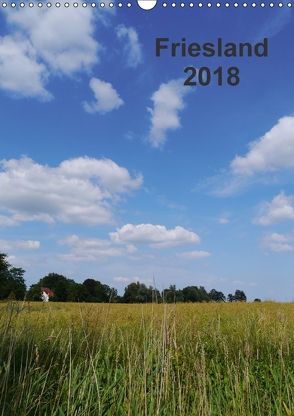 Friesland (Wandkalender 2018 DIN A3 hoch) von Stolzenberger,  Kerstin