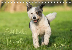Fröhliche Hunde (Tischkalender 2024 DIN A5 quer), CALVENDO Monatskalender von Fornal,  Martina