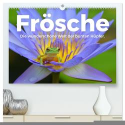 Frösche – Die wunderschöne Welt der bunten Hüpfer. (hochwertiger Premium Wandkalender 2024 DIN A2 quer), Kunstdruck in Hochglanz von Scott,  M.