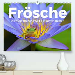 Frösche – Die wunderschöne Welt der bunten Hüpfer. (Premium, hochwertiger DIN A2 Wandkalender 2023, Kunstdruck in Hochglanz) von Scott,  M.