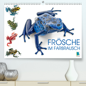 Frösche im Farbrausch (Premium, hochwertiger DIN A2 Wandkalender 2020, Kunstdruck in Hochglanz) von CALVENDO