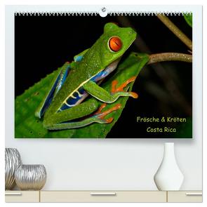 Frösche & Kröten Costa Rica (hochwertiger Premium Wandkalender 2024 DIN A2 quer), Kunstdruck in Hochglanz von Dummermuth,  Stefan