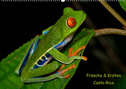 Frösche & Kröten Costa Rica (Wandkalender 2023 DIN A2 quer) von Dummermuth,  Stefan