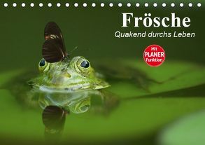 Frösche. Quakend durchs Leben (Tischkalender 2019 DIN A5 quer) von Stanzer,  Elisabeth