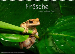 Frösche (Wandkalender 2023 DIN A2 quer) von Trapp,  Benny