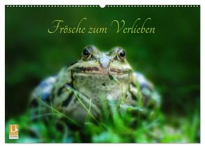 Frösche zum Verlieben (Wandkalender 2024 DIN A2 quer), CALVENDO Monatskalender von Gawlik,  Kathrin