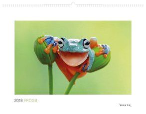 Frogs 2018 von KUNTH Verlag