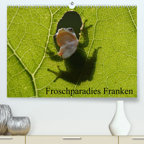 Froschparadies Franken (Premium, hochwertiger DIN A2 Wandkalender 2023, Kunstdruck in Hochglanz) von Bachmeier,  Günter