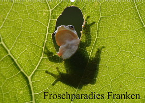 Froschparadies Franken (Wandkalender 2023 DIN A2 quer) von Bachmeier,  Günter