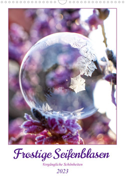 Frostige Seifenblasen (Wandkalender 2023 DIN A3 hoch) von Löwer,  Sabine