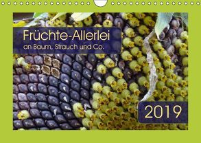 Früchte-Allerlei an Baum, Strauch und Co. (Wandkalender 2019 DIN A4 quer) von Keller,  Angelika