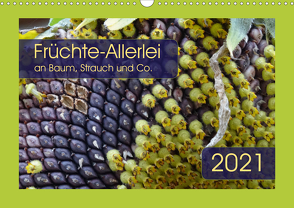 Früchte-Allerlei an Baum, Strauch und Co. (Wandkalender 2021 DIN A3 quer) von Keller,  Angelika