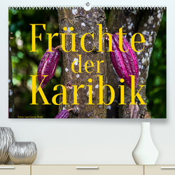 Früchte der Karibik (Premium, hochwertiger DIN A2 Wandkalender 2023, Kunstdruck in Hochglanz) von T. Berg,  Georg