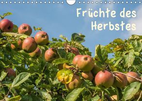 Früchte des Herbstes (Wandkalender 2019 DIN A4 quer) von Seidl,  Hans