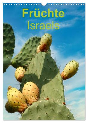 Früchte Israels (Wandkalender 2024 DIN A3 hoch), CALVENDO Monatskalender von Vorndran,  Hans-Georg