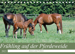 Frühling auf der Pferdeweide (Tischkalender 2023 DIN A5 quer) von Kleemann,  Claudia