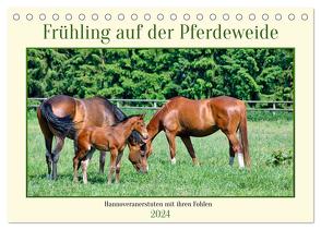 Frühling auf der Pferdeweide (Tischkalender 2024 DIN A5 quer), CALVENDO Monatskalender von Kleemann,  Claudia