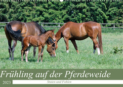 Frühling auf der Pferdeweide (Wandkalender 2023 DIN A2 quer) von Kleemann,  Claudia