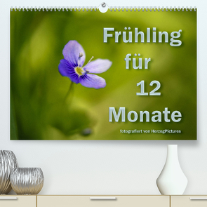 Frühling für 12 Monate (Premium, hochwertiger DIN A2 Wandkalender 2022, Kunstdruck in Hochglanz) von HerzogPictures