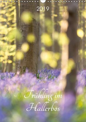 Frühling im Hallerbos (Wandkalender 2019 DIN A3 hoch) von Eigenheer,  Sandra