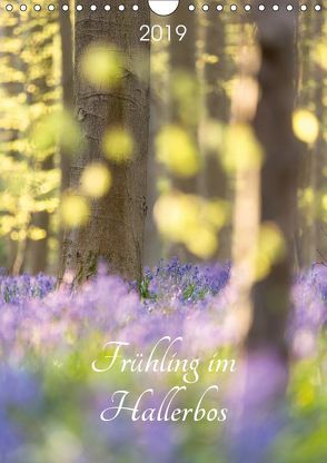 Frühling im Hallerbos (Wandkalender 2019 DIN A4 hoch) von Eigenheer,  Sandra