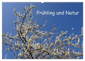 Frühling und Natur (Wandkalender 2024 DIN A2 quer), CALVENDO Monatskalender von Pocketkai,  Pocketkai