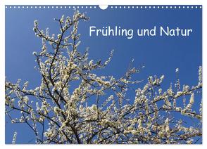 Frühling und Natur (Wandkalender 2024 DIN A3 quer), CALVENDO Monatskalender von Pocketkai,  Pocketkai