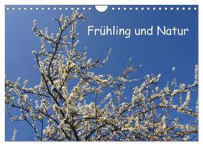 Frühling und Natur (Wandkalender 2024 DIN A4 quer), CALVENDO Monatskalender von Pocketkai,  Pocketkai