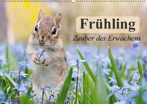 Frühling. Zauber des Erwachens (Wandkalender 2018 DIN A2 quer) von Stanzer,  Elisabeth