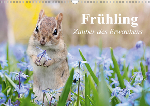 Frühling. Zauber des Erwachens (Wandkalender 2021 DIN A3 quer) von Stanzer,  Elisabeth