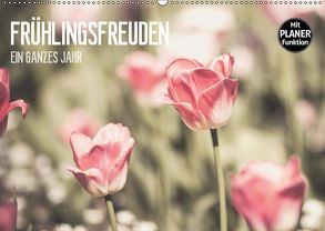 Frühlingsfreuden – Ein ganzes Jahr (Wandkalender 2019 DIN A2 quer) von Dobrindt,  Jeanette
