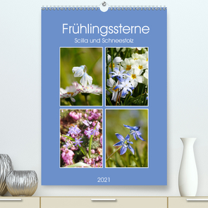 Frühlingssterne Scilla und Schneestolz (Premium, hochwertiger DIN A2 Wandkalender 2021, Kunstdruck in Hochglanz) von Kruse,  Gisela