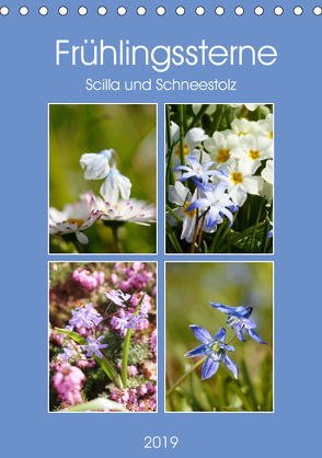 Frühlingssterne Scilla und Schneestolz (Tischkalender 2019 DIN A5 hoch) von Kruse,  Gisela