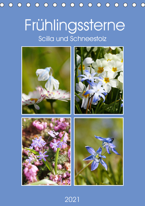 Frühlingssterne Scilla und Schneestolz (Tischkalender 2021 DIN A5 hoch) von Kruse,  Gisela