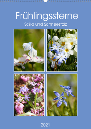 Frühlingssterne Scilla und Schneestolz (Wandkalender 2021 DIN A2 hoch) von Kruse,  Gisela